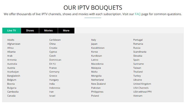 Honey Bee IPTV Review: Over 20K Channels for $15/Month 5 Channels